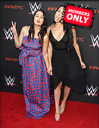 Brie Bella nikki Bella WWE FYC Event in Los Angeles 6th June 2018
2695x3500 3.4 mb
Viewed 1 time
@BestEyeCandy.com