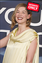 Celebrity Photo: Rosamund Pike
3151x4727 1.5 mb
Viewed 0 times
@BestEyeCandy.com