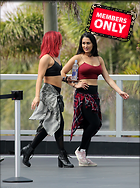 Brie Bella nikki Bella and Natalya Neidhart hang out with dancer Sharna Burgess while seen in Miami Beach 30.05.2018 47x
2229x3000 2.1 mb
Viewed 1 time
@BestEyeCandy.com