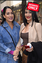 Celebrity Photo: Brie Bella
2342x3500 2.4 mb
Viewed 0 times
@BestEyeCandy.com