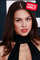 Celebrity Photo: Olivia Rodrigo
2667x4000 4.7 mb
Viewed 1 time
@BestEyeCandy.com