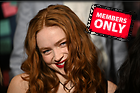 Celebrity Photo: Sadie Sink
6192x4128 1.9 mb
Viewed 1 time
@BestEyeCandy.com