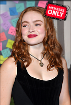 Celebrity Photo: Sadie Sink
3197x4757 1.6 mb
Viewed 1 time
@BestEyeCandy.com
