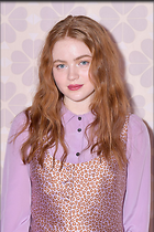 Celebrity Photo: Sadie Sink
1280x1920   411 kb
Viewed 7 times
@BestEyeCandy.com