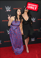 Brie Bella nikki Bella WWE FYC Event in Los Angeles 6th June 2018
2461x3500 2.2 mb
Viewed 1 time
@BestEyeCandy.com