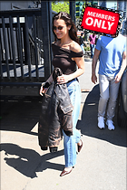 Celebrity Photo: Bella Hadid
2231x3347 2.7 mb
Viewed 1 time
@BestEyeCandy.com