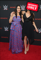 Brie Bella nikki Bella WWE FYC Event in Los Angeles 6th June 2018
2473x3600 2.8 mb
Viewed 1 time
@BestEyeCandy.com