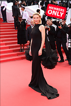 Celebrity Photo: Cate Blanchett
4000x6000 2.7 mb
Viewed 0 times
@BestEyeCandy.com