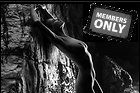 Celebrity Photo: Genevieve Morton
1648x1094 381 kb
Viewed 0 times
@BestEyeCandy.com