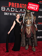 Celebrity Photo: Elle Fanning
3928x5250 3.7 mb
Viewed 0 times
@BestEyeCandy.com