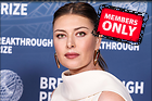 Celebrity Photo: Maria Sharapova
3500x2333 2.1 mb
Viewed 0 times
@BestEyeCandy.com