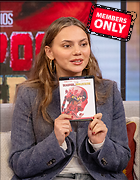 Celebrity Photo: Dafne Keen
3069x3938 10.5 mb
Viewed 0 times
@BestEyeCandy.com