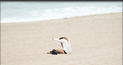 Celebrity Photo: Vanessa Hudgens
3100x1640 626 kb
Viewed 2 times
@BestEyeCandy.com