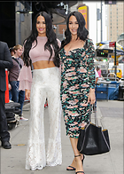 Brie Bella nikki Bella and at Strahan Sara TV show New York USA 19 June 2019 x47
1200x1680 299 kb
Viewed 5 times
@BestEyeCandy.com