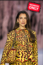 Celebrity Photo: Dua Lipa
5504x8256 6.3 mb
Viewed 0 times
@BestEyeCandy.com