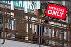 Celebrity Photo: Hailey Baldwin
3500x2333 4.0 mb
Viewed 0 times
@BestEyeCandy.com