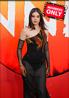 Celebrity Photo: Hailee Steinfeld
3521x5040 3.6 mb
Viewed 1 time
@BestEyeCandy.com