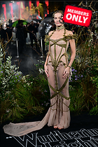 Celebrity Photo: Margot Robbie
3687x5530 1.7 mb
Viewed 0 times
@BestEyeCandy.com