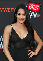 Brie Bella nikki Bella WWE FYC Event in Los Angeles 6th June 2018
2479x3500 1.8 mb
Viewed 1 time
@BestEyeCandy.com
