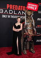 Celebrity Photo: Elle Fanning
3739x5255 3.3 mb
Viewed 0 times
@BestEyeCandy.com