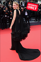 Celebrity Photo: Cate Blanchett
3712x5568 1.8 mb
Viewed 0 times
@BestEyeCandy.com