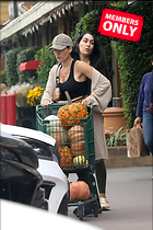 Brie Bella nIKKI and Out Shopping for Pumpkins in Napa Valley 09-20-2024
2231x3346 4.6 mb
Viewed 1 time
@BestEyeCandy.com