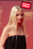 Celebrity Photo: Anya Taylor-Joy
2037x3055 2.1 mb
Viewed 1 time
@BestEyeCandy.com