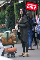 Brie Bella nIKKI and Out Shopping for Pumpkins in Napa Valley 09-20-2024
2264x3396 3.5 mb
Viewed 1 time
@BestEyeCandy.com