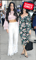 Brie Bella nikki Bella and at Strahan Sara TV show New York USA 19 June 2019 x47
2189x3600 1.8 mb
Viewed 1 time
@BestEyeCandy.com