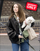Celebrity Photo: Ana De Armas
2200x2833 1.8 mb
Viewed 1 time
@BestEyeCandy.com