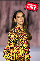 Celebrity Photo: Dua Lipa
5504x8256 6.5 mb
Viewed 0 times
@BestEyeCandy.com