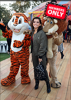 Celebrity Photo: Isabela Merced
3461x4896 2.3 mb
Viewed 0 times
@BestEyeCandy.com