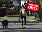 Celebrity Photo: Gisele Bundchen
3500x2625 2.5 mb
Viewed 0 times
@BestEyeCandy.com