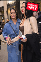 Celebrity Photo: Brie Bella
2342x3500 2.2 mb
Viewed 0 times
@BestEyeCandy.com