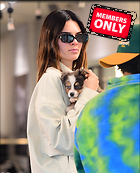 Kendall Jenner candids Out and about in New York 24.02..20.2020
2004x2474 2.9 mb
Viewed 1 time
@BestEyeCandy.com