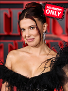 Celebrity Photo: Millie Bobby Brown
2625x3500 2.8 mb
Viewed 0 times
@BestEyeCandy.com