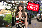 Celebrity Photo: Alison Brie
2048x1365 1.6 mb
Viewed 1 time
@BestEyeCandy.com