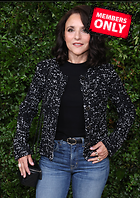 Celebrity Photo: Julia Louis Dreyfus
2551x3609 2.1 mb
Viewed 0 times
@BestEyeCandy.com