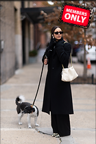 Celebrity Photo: Nina Dobrev
2334x3500 1.7 mb
Viewed 0 times
@BestEyeCandy.com