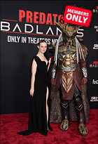 Celebrity Photo: Elle Fanning
3961x5803 4.0 mb
Viewed 0 times
@BestEyeCandy.com