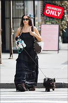 Celebrity Photo: Irina Shayk
2333x3500 2.1 mb
Viewed 0 times
@BestEyeCandy.com