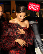 Celebrity Photo: Zendaya Coleman
4383x5479 10.2 mb
Viewed 1 time
@BestEyeCandy.com