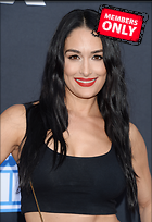 Brie Bella nikki Bella WWE 20th Anniversary Celebration Staples Center Los Angeles 04.10.2019 x86
3150x4589 2.0 mb
Viewed 1 time
@BestEyeCandy.com