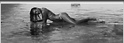 Celebrity Photo: Nina Agdal
3961x1393 1.4 mb
Viewed 17 times
@BestEyeCandy.com