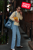 Celebrity Photo: Gigi Hadid
1921x2881 1.6 mb
Viewed 0 times
@BestEyeCandy.com