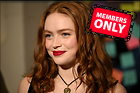 Celebrity Photo: Sadie Sink
6192x4128 2.0 mb
Viewed 1 time
@BestEyeCandy.com