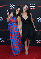 Brie Bella nikki Bella WWE FYC Event in Los Angeles 6th June 2018
2400x3405 990 kb
Viewed 7 times
@BestEyeCandy.com