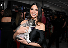 Celebrity Photo: Olivia Munn
2048x1463 932 kb
Viewed 4 times
@BestEyeCandy.com