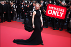 Celebrity Photo: Cate Blanchett
7702x5135 2.3 mb
Viewed 0 times
@BestEyeCandy.com
