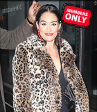 Brie Bella nikki Bella on Good Day New York Fox 5 24.01..20.2019
1453x1674 1.5 mb
Viewed 1 time
@BestEyeCandy.com